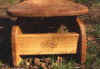 detail logo