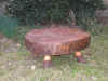 table rustique.jpg (158093 octets)